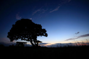 Last Summer Trip 2010 喜界島 Party!